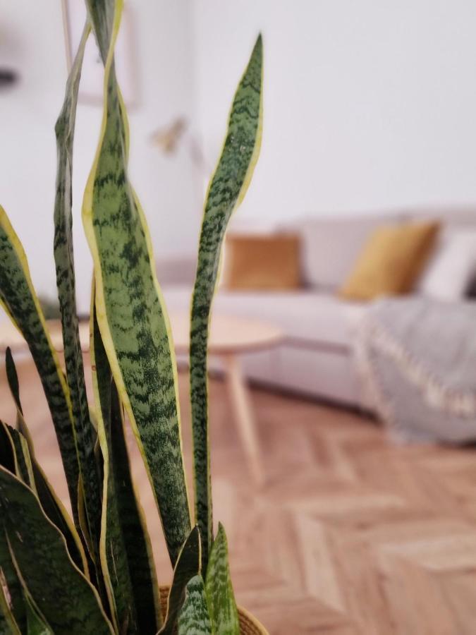Cozy Apartment In The City Center Grenade Extérieur photo